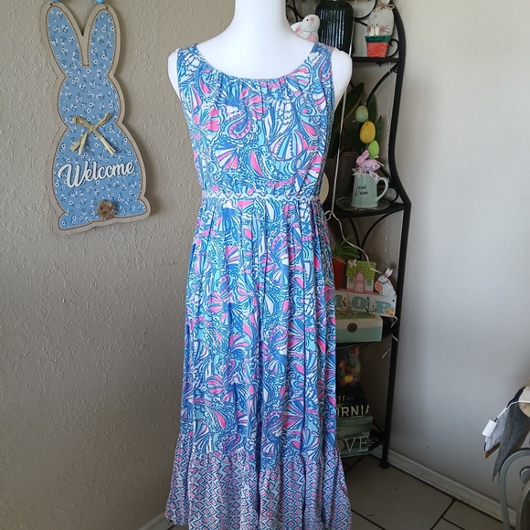 Lilly Pulitzer Dresses & Skirts - Lilly Pullitzer Sleeveless Floral Maxi Dress in Blue and Pink